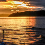 Person paddleboarding on Elliott Bay