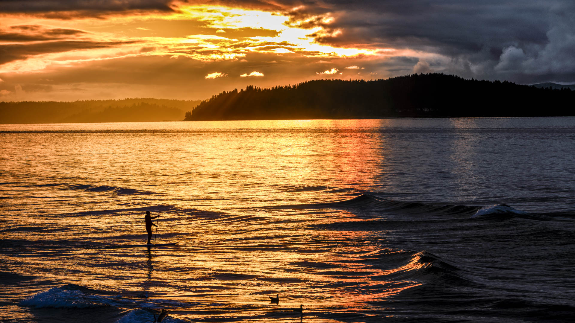 Person paddleboarding on Elliott Bay